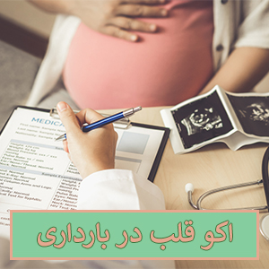 اکو قلب در بارداری