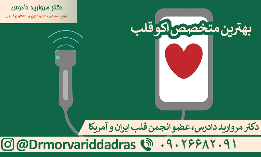بهترین متخصص اکو قلب تهران