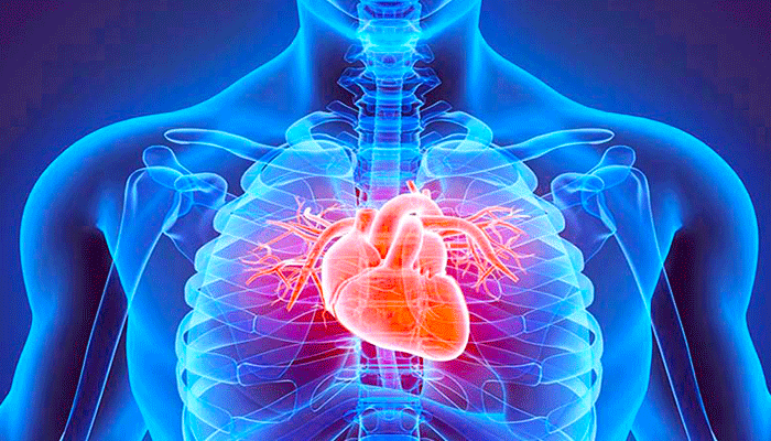 بیماری روماتیسم قلبی چیست؟