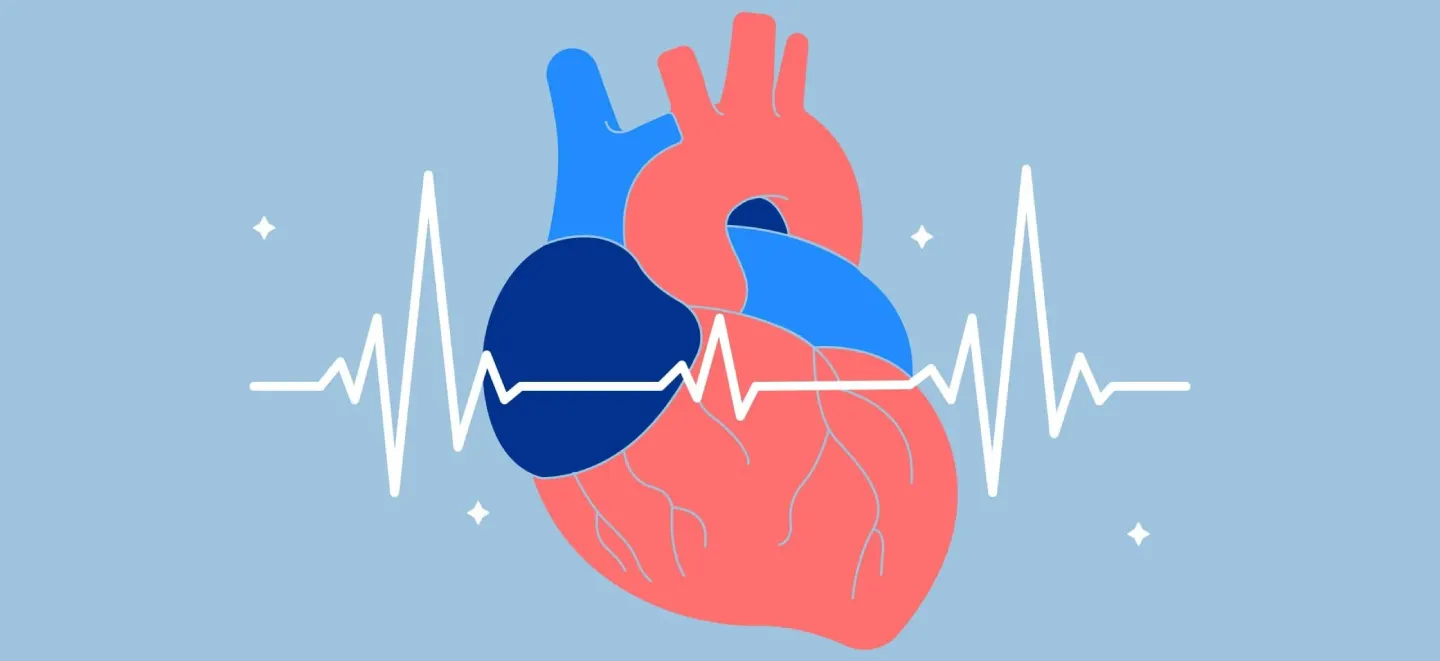 تعداد ضربان قلب